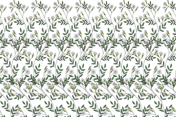 Иллюстрация Цветок Гипофили Белом Фоне — стоковый вектор