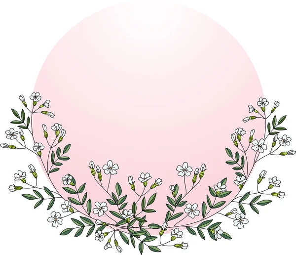 Ilustrace Gypsophila Květ Měkkým Růžovým Kruhem Bílém Pozadí — Stockový vektor