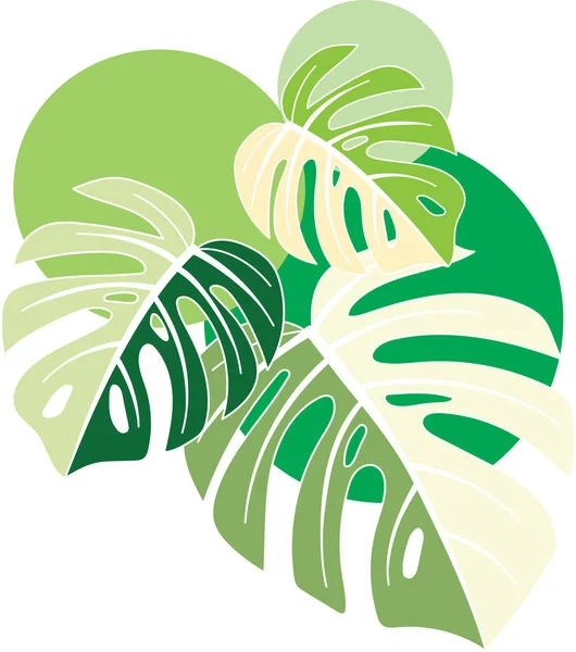 Illustration Monstera Spotted Leaves Circle Background — Stock Vector