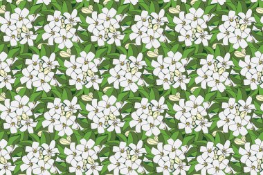 Portakal Yasemin ya da Çin Kutusu çiçeğinin yaprak arkaplanlı hali.