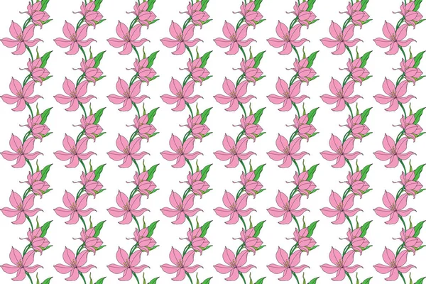 白を基調としたピンクのユリの花のイラストパターン — ストックベクタ