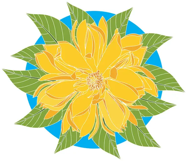 Illustration Yellow Champaka Blooming Flower Leaf Blue Circle Background — Stock Vector