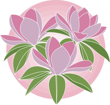 Pembe yuvarlak arka planda yaprağı olan manolya çiçeği tasviri.