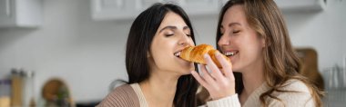 Positive lesbian woman feeding girlfriend with tasty croissant in kitchen, banner  clipart