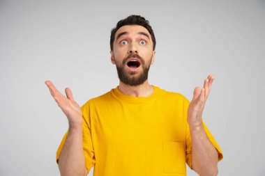 amazed bearded man in yellow t-shirt standing with open mouth and showing wow gesture isolated on grey clipart