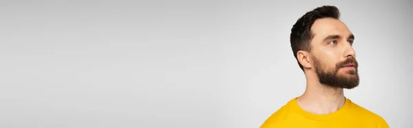 Портрет Брюнетки Бородатый Мужчина Смотрит Сторону Изолированы Серый Баннер — стоковое фото