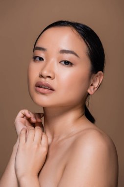 Portrait of brunette asian model looking at camera isolated on brown 