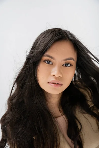 stock image portrait of charming asian woman with long healthy hair looking at camera isolated on grey