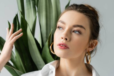 portrait of charming woman with natural makeup looking away near blurred plant isolated on grey