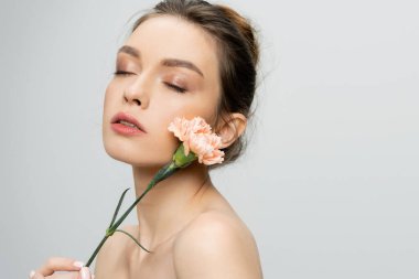 young woman with naked shoulders and natural makeup posing with fresh carnation isolated on grey