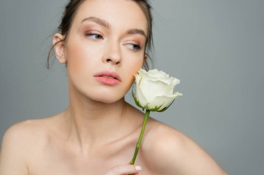 young woman with natural makeup and perfect skin posing with fresh rose isolated on grey