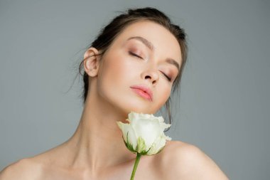 young woman with natural makeup and naked shoulders posing with closed eyes near white rose isolated on grey clipart