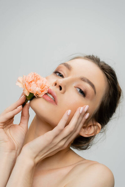 sensual woman holding fresh carnation near perfect face while looking at camera isolated on grey