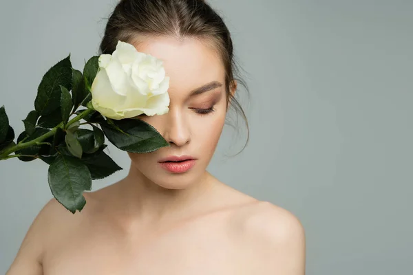 stock image young woman with perfect skin and bare shoulders obscuring face with white rose isolated on grey