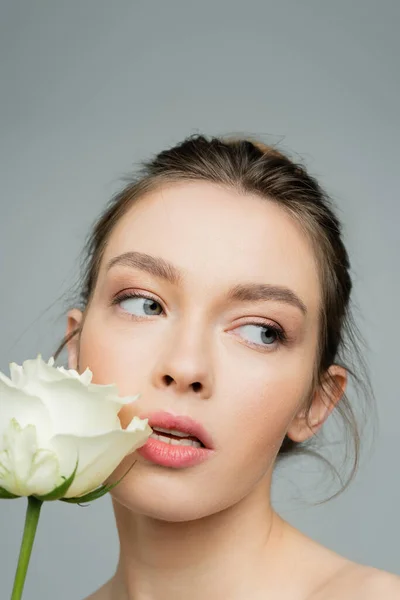 Portrait Charming Woman Natural Makeup Looking Away White Rose Isolated — Stockfoto