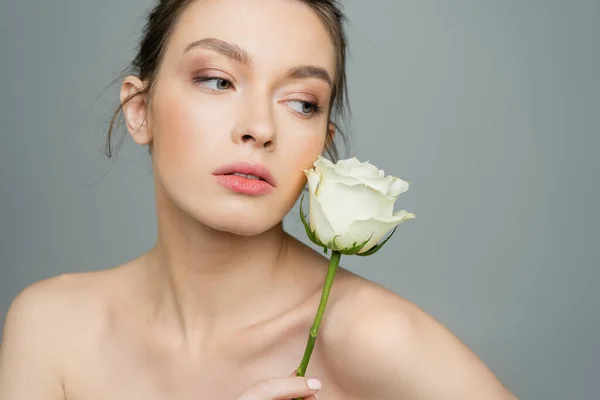Young Woman Natural Makeup Perfect Skin Posing Fresh Rose Isolated — Stockfoto