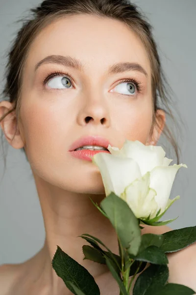 stock image portrait of charming woman with clean skin and natural makeup looking away near fresh rose isolated on grey