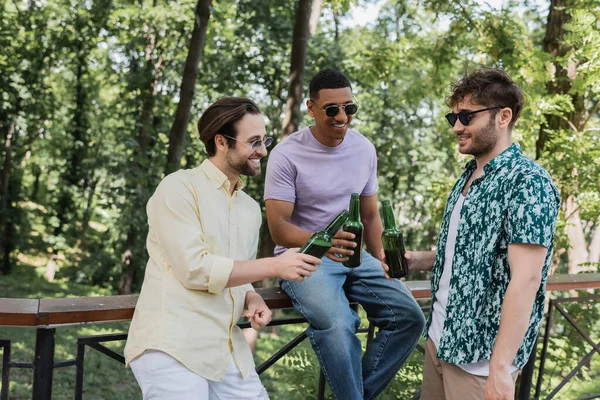 在夏天的公园里 戴着太阳镜 举杯庆祝啤酒的不同种族的好朋友 — 图库照片