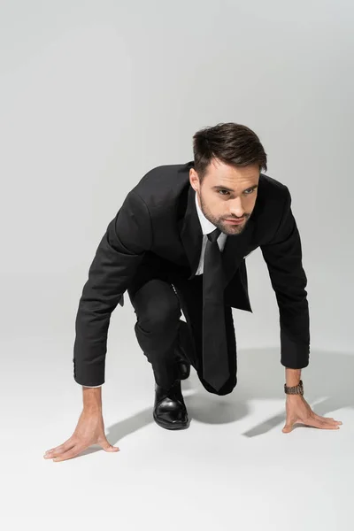 灰色の背景で低スタート位置に深刻で目的のあるビジネスマンの完全な長さ — ストック写真