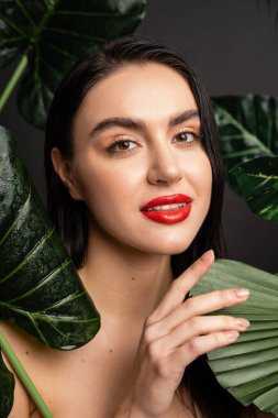 alluring young woman with brunette hair and red lips posing around tropical and exotic green palm leaves with raindrops on them isolated on grey background  clipart