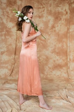 full length of barefoot and brunette and young woman in pink silk slip dress holding white flowers while standing on mottled beige background, sensuality, elegance, sophistication  clipart