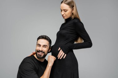 Cheerful bearded man in t-shirt knocking on belly of fashionable and pregnant wife in black dress and standing together isolated on grey, growing new life concept, funny, father to be clipart