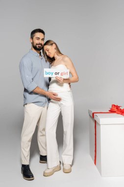 Cheerful man hugging pregnant wife with boy or girl lettering on card and looking at camera near big gift box during gender reveal surprise party on grey background, expecting parents concept clipart