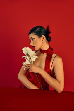 bahar moda konsepti, beyaz orkideyle masaya oturan genç Asyalı kadın ve kırmızı arka plan, esmer saç, kalın makyaj, kayış elbise, atkı, genel z tarzı