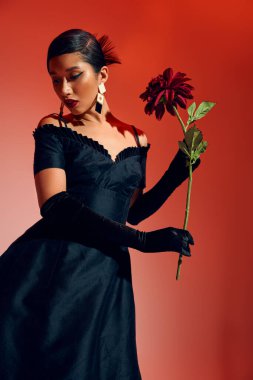 Zarif bahar moda konsepti, siyah kokteyl elbisesi giyen genç Asyalı kadın, uzun eldivenler ve kırmızı ve pembe arka planda bordo şakayıkla poz veren moda küpeleri, Z jenerasyonu.