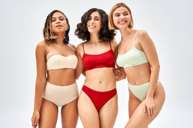 Gri, farklı vücut tipleri ve kendini kabul etme konsepti, çok kültürlü modeller üzerinde ayrı ayrı dururken farklı renkte iç çamaşırlarıyla sarılan neşeli genç kadınlar.