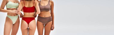 Cropped view of woman in lingerie touching panties while standing and posing next to multiethnic friends on grey background, diverse body shapes and multiethnic women concept, banner  clipart