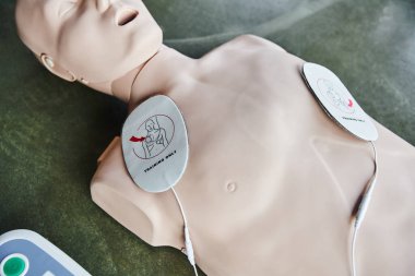 high angle view of cardiopulmonary resuscitation training manikin with defibrillator pads on floor in training room, medical equipment for first aid training and skills development clipart