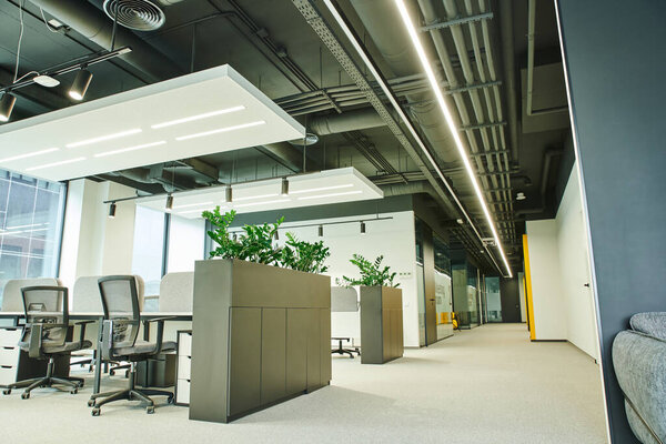 spacious open space office with modern furniture, office chairs, work desks, green natural plants and led lighting, workspace organization concept 