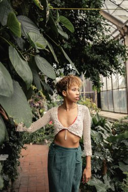 Yazın örgü ören ve etek giyen kendinden emin genç Afro-Amerikalı kadın bulanık bahçe merkezinde yeşillikleri olan yeşil bitkilerin yanında dikilirken, tropikal vahadaki modacı kadın