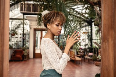 Yazın şık Afrikalı Amerikalı genç bir kadın arka planda bulanık bahçedeki palmiye ağacının en dokunaklı dalını ördü. Moda tutkunu, tropikal flora 'nın ortasında poz veriyor.