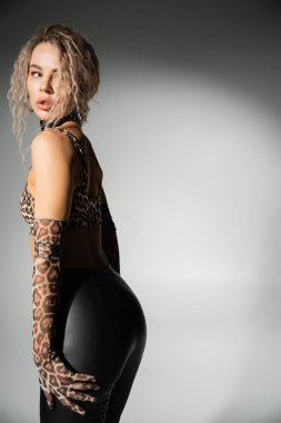 trendy and sexy woman with seductive gaze and wavy ash blonde hair looking away while posing in animal print crop top, long gloves and black latex pants on grey background, sensuality and style clipart