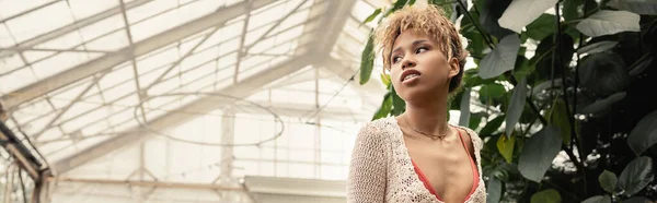 Χαμηλή Γωνία Άποψη Της Αυτοπεποίθηση Νεαρή Αφροαμερικανή Γυναίκα Καλοκαίρι Πλεκτό — Φωτογραφία Αρχείου