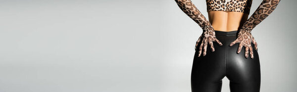 Sexy fashion trend, partial view of seductive female model in leopard print gloves, crop top and black latex pants touching sexy buttocks while standing on grey background, banner with copy space