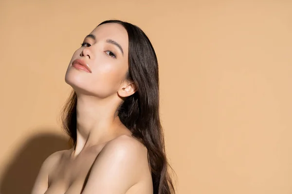 Joven Modelo Asiático Con Pelo Largo Maquillaje Natural Mirando Cámara —  Fotos de Stock