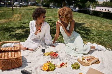 Şık Afrikalı Amerikalı kız arkadaşlar, şarap yanında battaniye ve parkta akıllı telefon ile meyve yiyorlar.