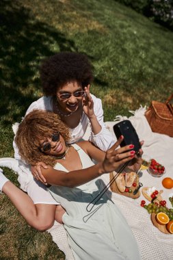 Aşırı keyifli Afrikalı Amerikalı kız arkadaşların klasik kamera ve yaz pikniğinde selfie çekerken üst düzey görüntüsü.