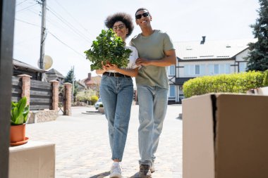Neşeli Afrikalı Amerikalı çift, açık havada karton kutuların yanında ev bitkisi tutuyor.