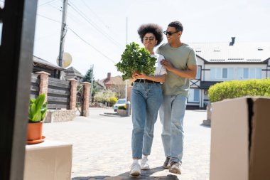 Pozitif Afro-Amerikan çifti açık havada karton kutuların yanında ev bitkisi tutuyor.
