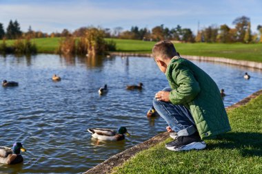 back view of preteen boy in outerwear and jeans sitting near pond with ducks, nature and kid clipart