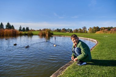 happy african american boy in outerwear and jeans sitting near pond with ducks, nature and kid clipart