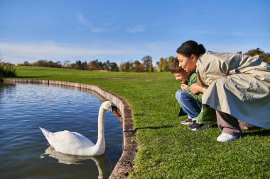 landscape, autumn, african american woman and boy looking at lake with white swan, childhood, nature clipart