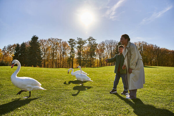 happy african american woman and son in outerwear standing near swans in park, autumn season, sunny