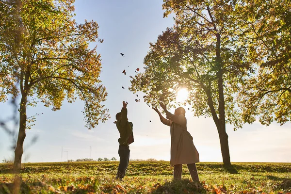 秋の葉を投げる母と子供のシルエット 秋の季節 楽しむ 女性と少年 — ストック写真