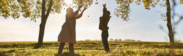秋の葉 秋の季節を投げる母と子供のシルエット 楽しむこと バナー — ストック写真