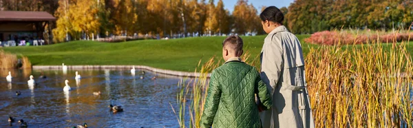 stock image back view of mother and son in outerwear walking together near lake with swans and ducks, banner